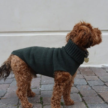 Calimar Sweater // Strikket hundesweater i uld (mørkegrøn)