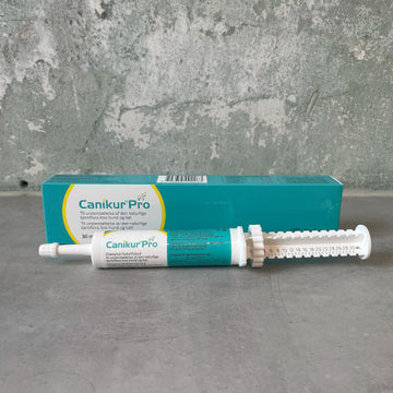 Canikur Pro paste // Supplement to support the intestinal flora in your dog