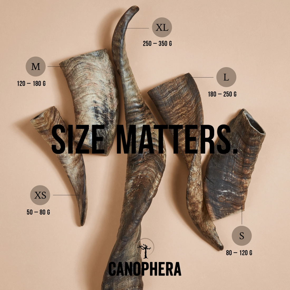 Canophera Sheep Horns // 100% natural and durable chew snack (several sizes)