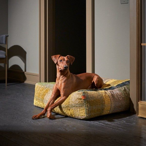 Cloud7 Cube // Luxury dog pillow in exclusive design (green tartan)