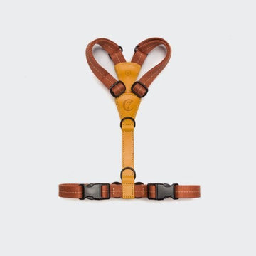 Cloud7 Madeira // Lightweight and functional y-harness (ginger)
