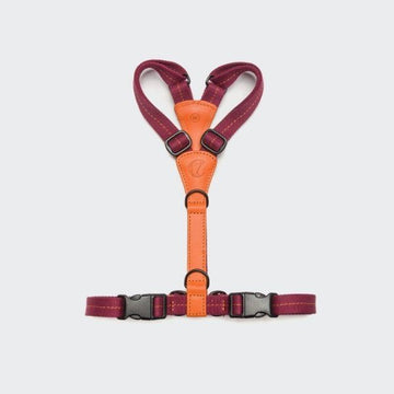 Cloud7 Madeira // Lightweight and functional y-harness (papaya)