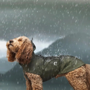 Cloud7 Dublin // Dog rain jacket with harness opening (dark olive)