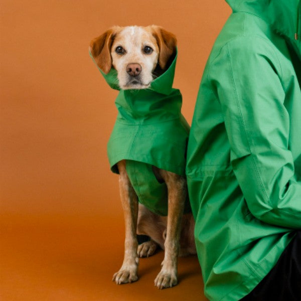 Cloud7 Lewis // Waterproof and windproof dog rain jacket (meadow)