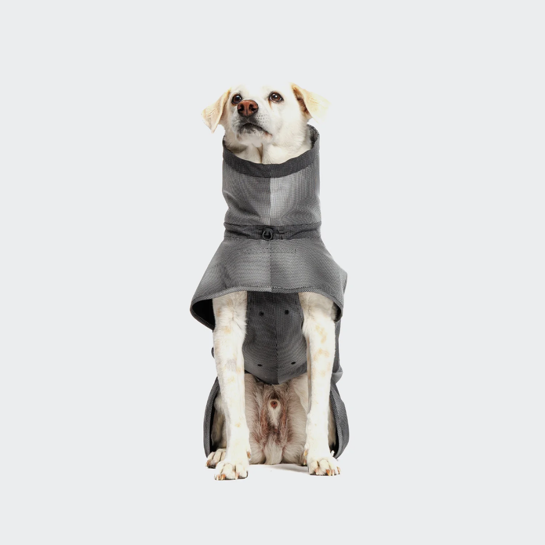 Cloud7 ACTIVE // Water and windproof rain jacket with reflectors (black)