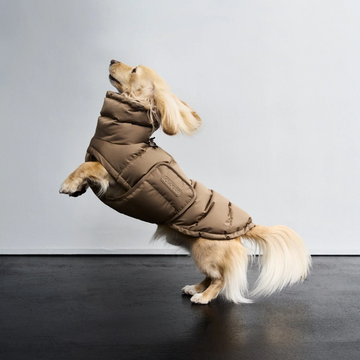 Cloud7 Alaska, Gravhund // Ekstra varm vinterjakke (sandy brown)