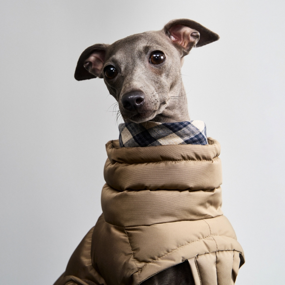 Cloud7 Alaska // Extra warm winter jacket for dogs (sandy brown)