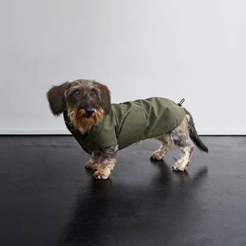 Cloud7 Dublin // Rain jacket for dachshunds (dark olive)
