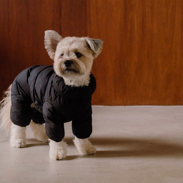 Cushycushy Onesie // Onesie that doesn't go over the head (pure black)