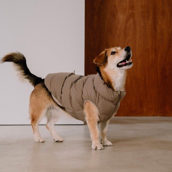 Cushycushy Vest // Dog jacket that doesn't go over the head (mocha)