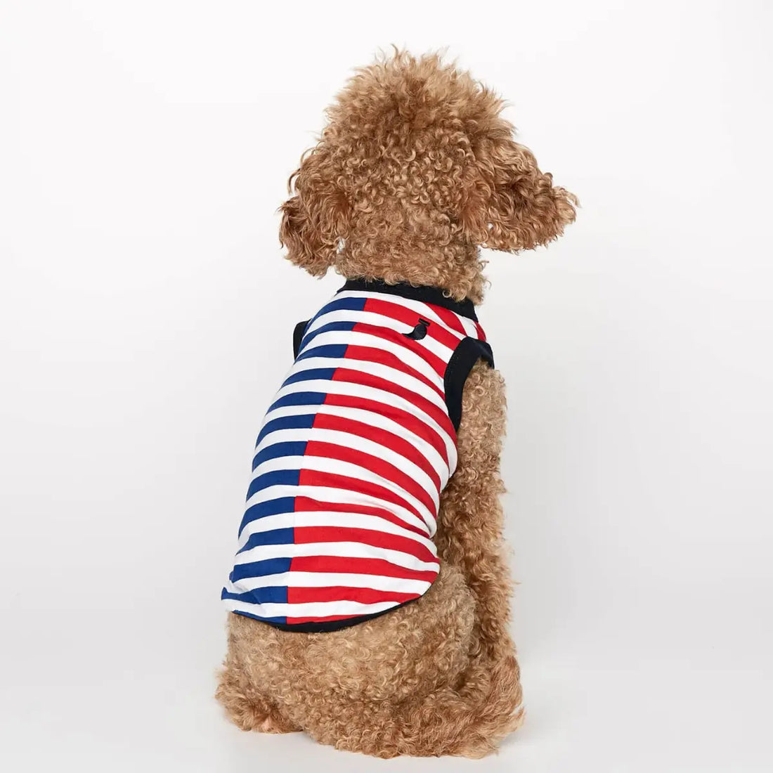 Daniel Bodysuit // Dog sweater in organic cotton (blue/red)