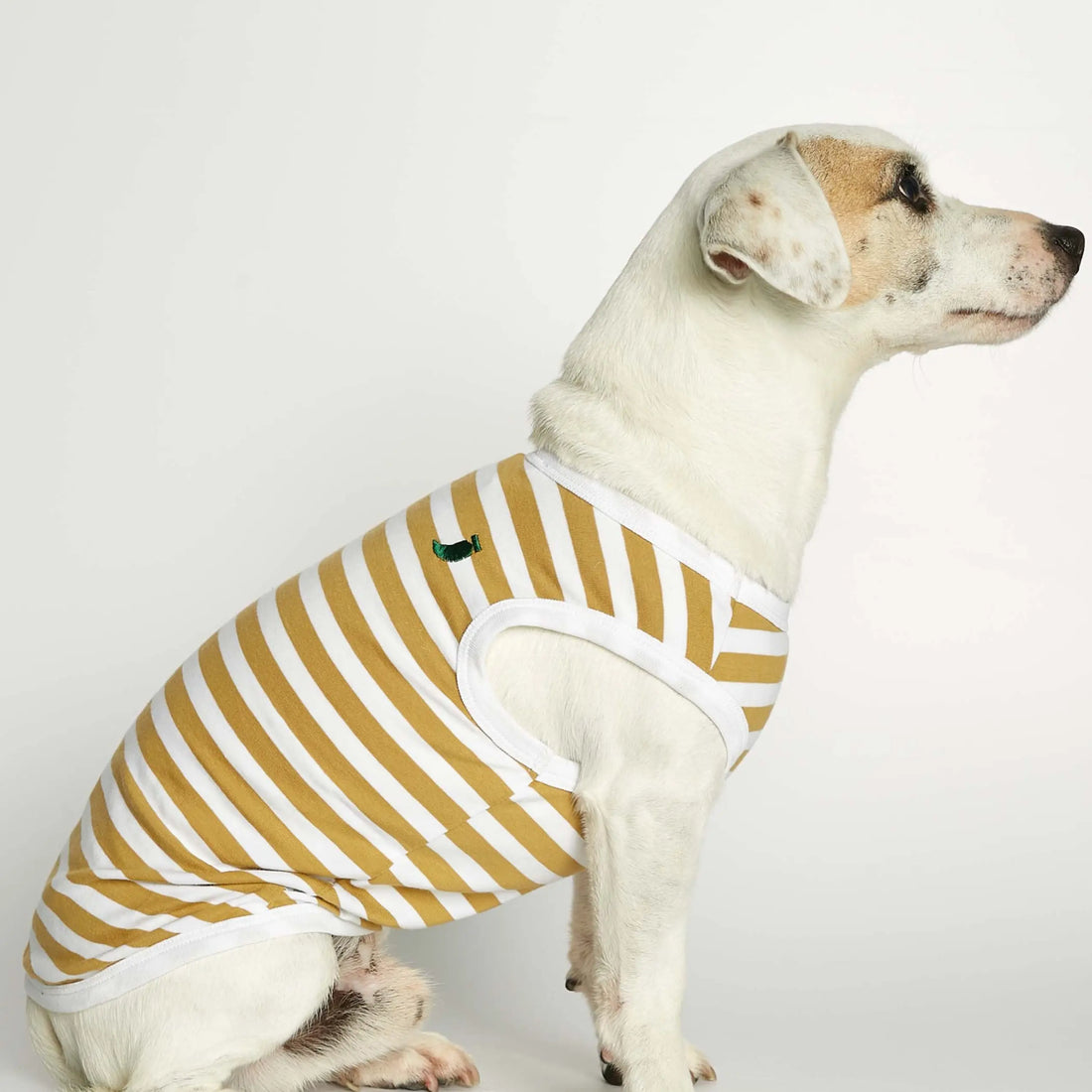 Daniel Bodysuit // Dog sweater in organic cotton (dijon)