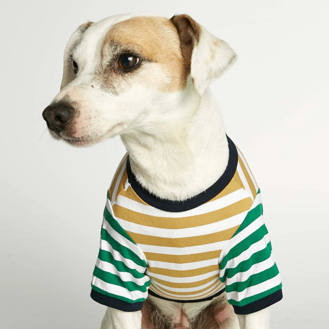 David T-shirt // Dog shirt with sleeves in organic cotton (dijon/green)