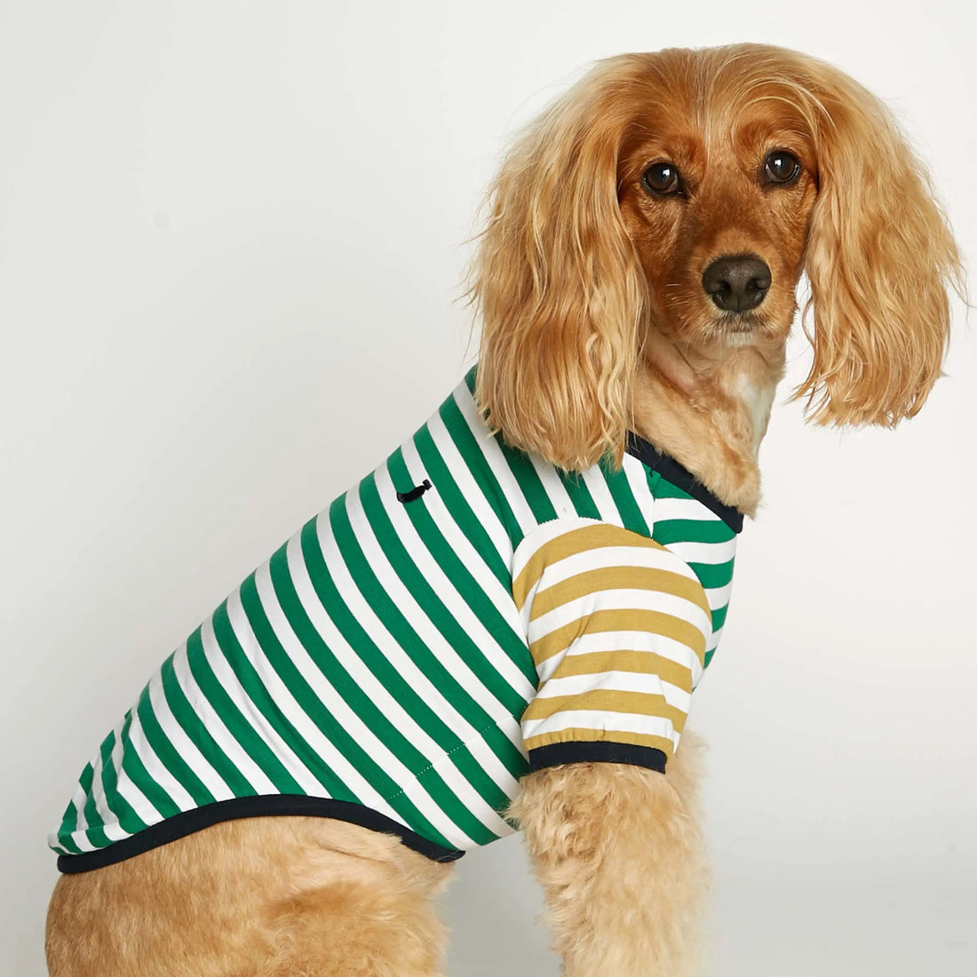 David T-shirt // Dog shirt with sleeves in organic cotton (green/dijon)
