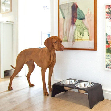 DogBar, Steel Bowls // Feeding station for water and food (dark oak)