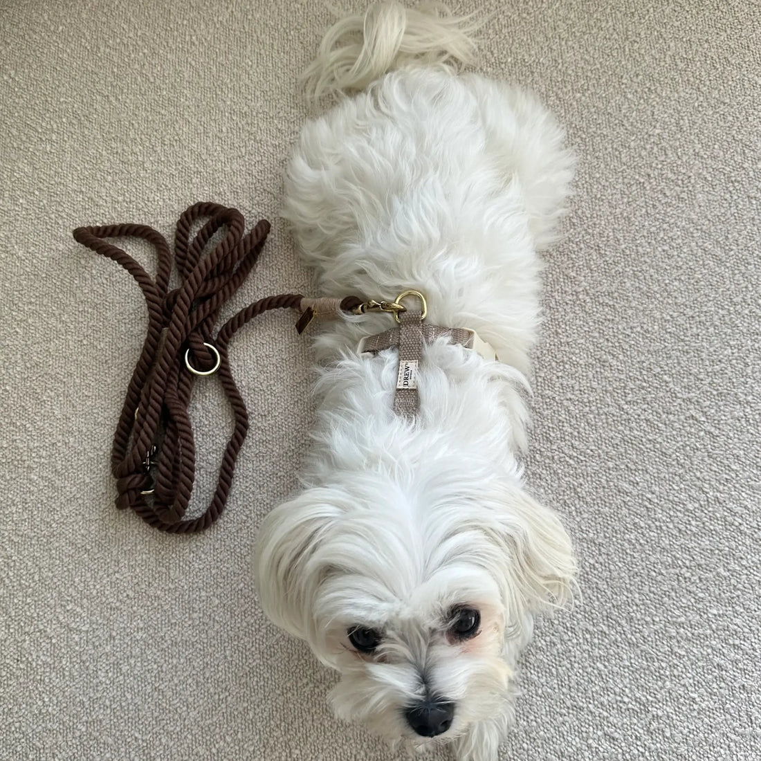 Drew's Dogwear Brown // Adjustable and soft rope leash (dark brown)