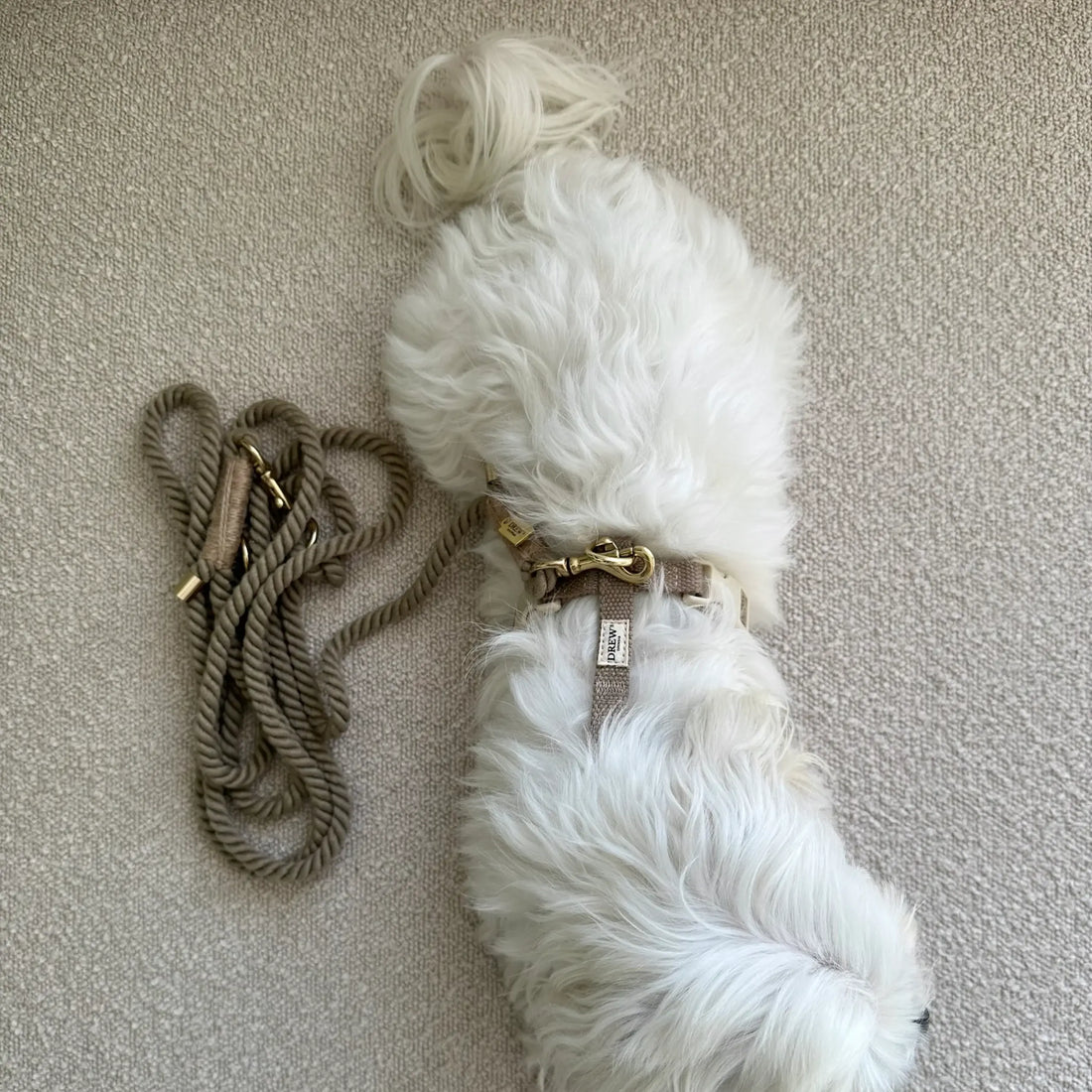 Drew's Dogwear Khaki // Adjustable and soft rope leash (khaki)