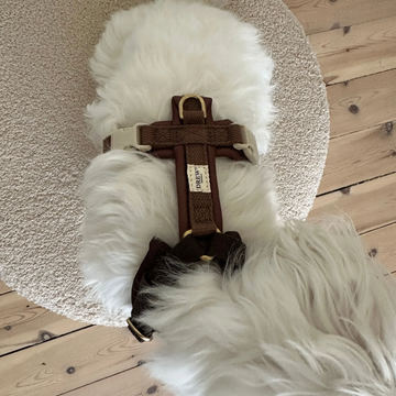 Drew's Dogwear Cortado // Adjustable Y-harness (brown/beige) (Kopier)