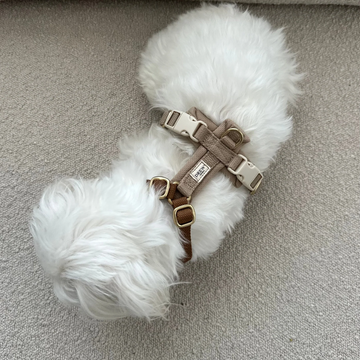 Drew's Dogwear Cortado // Adjustable Y-harness (brown/beige) (Kopier)