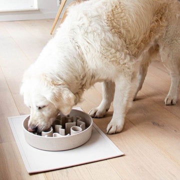 Eat slow // Eat slow bowl for dogs (beige)