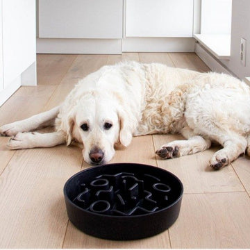 Eat slow // Eat slow bowl for dogs (dark gray)