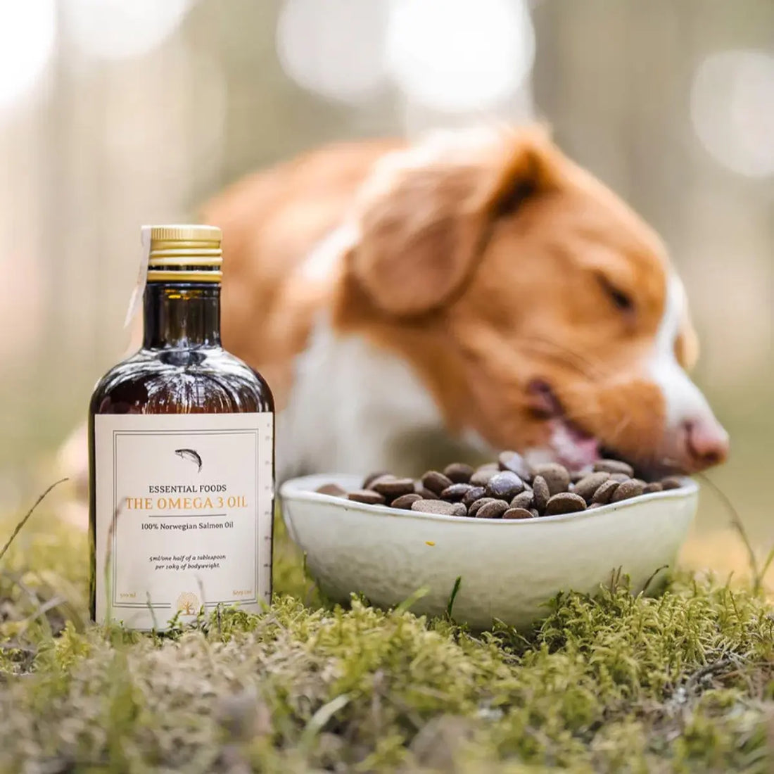 Essential The Omega 3 Oil // Cold-pressed salmon oil for dogs (500 ml)