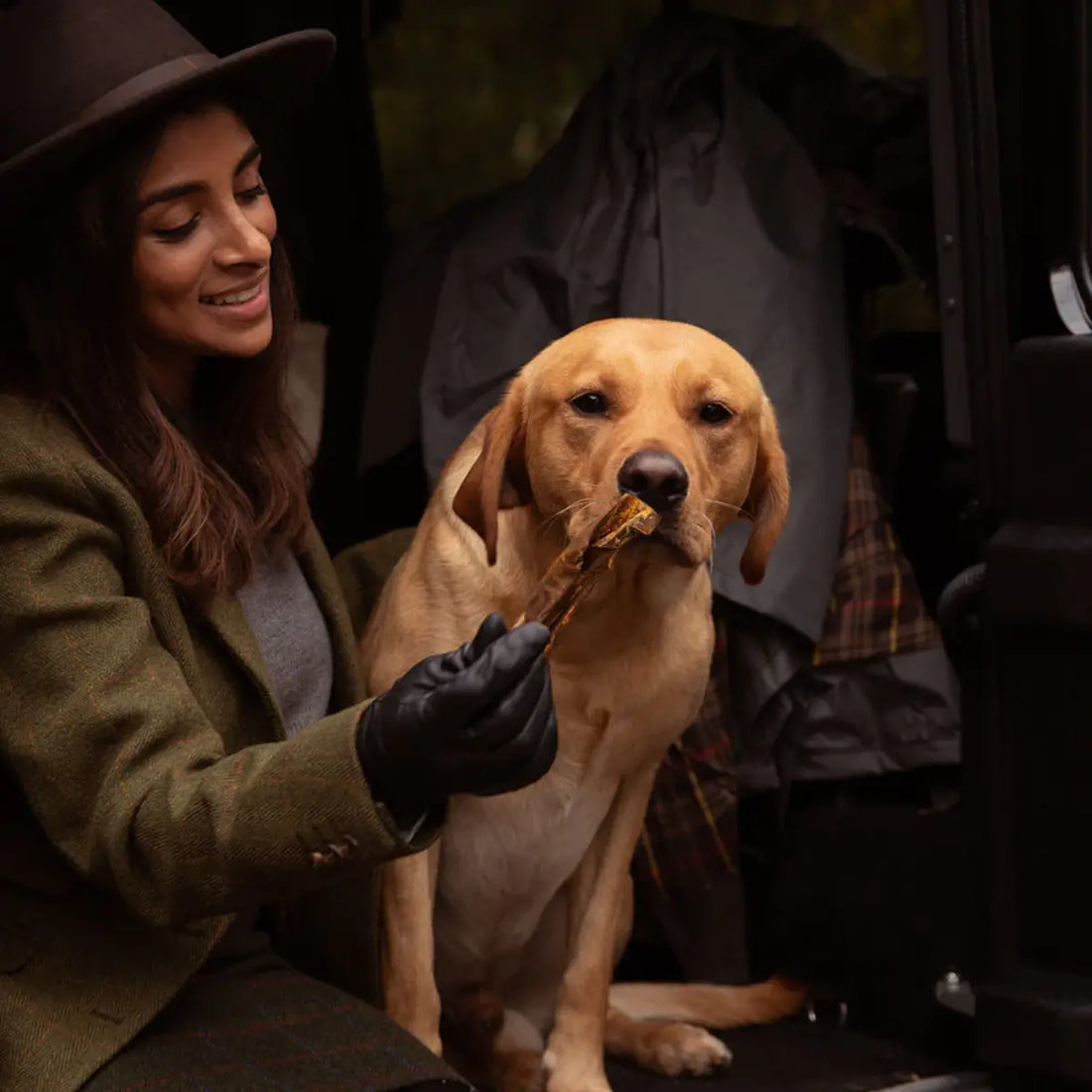 Essential Lamb Delights // 100% dried lamb lungs