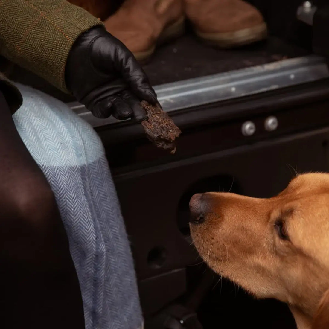 Essential Liver Delights // 100% dried beef liver pieces