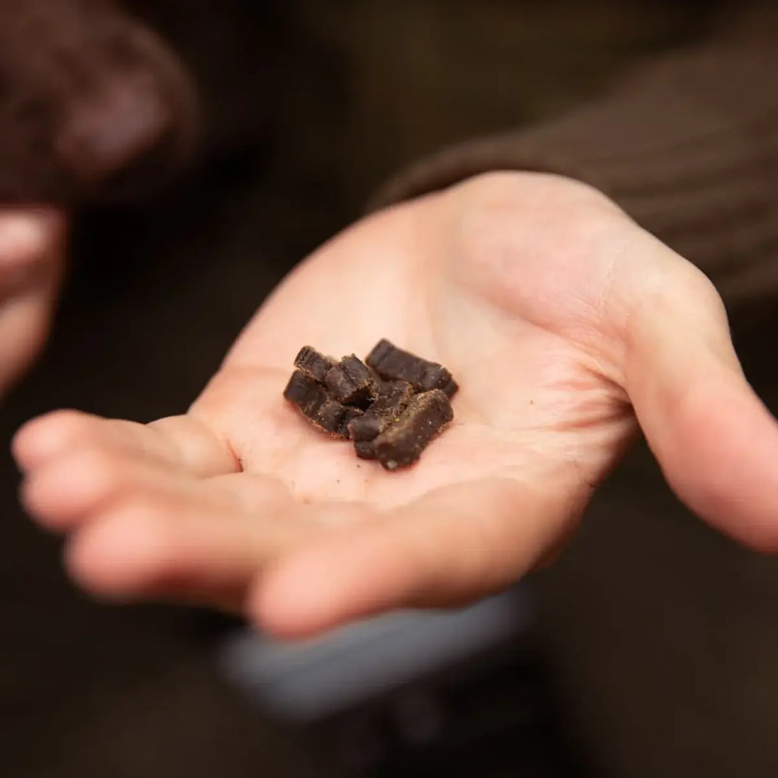 Essential Lamb Mini Delights // Soft Training Treats (Lamb)