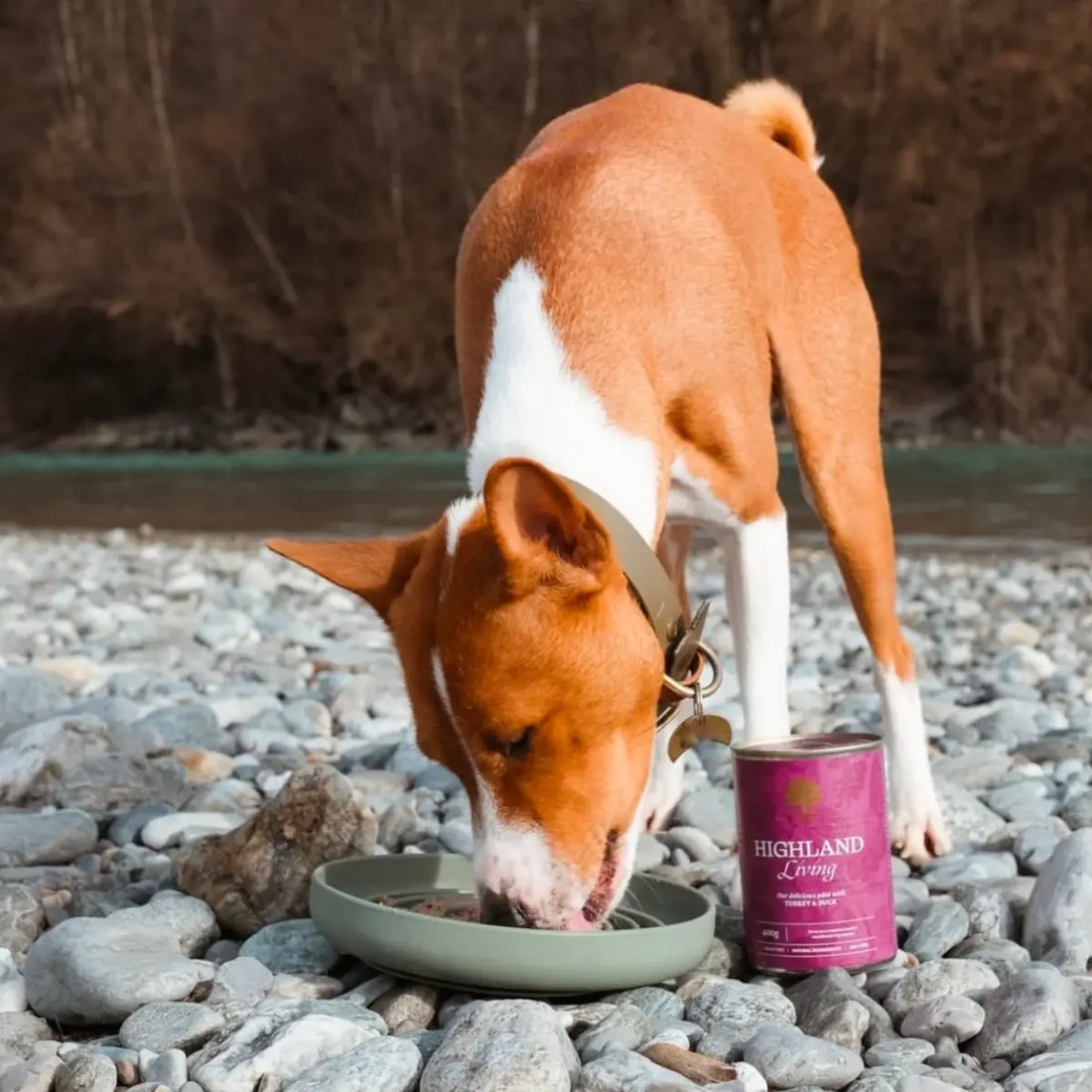 Essential Highland Living Paté // Wet food with turkey and duck (400 g)