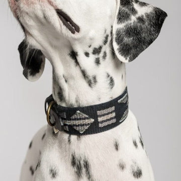 Buddys Dogwear Etna Black // Bredt og let halsbånd (sort) XL