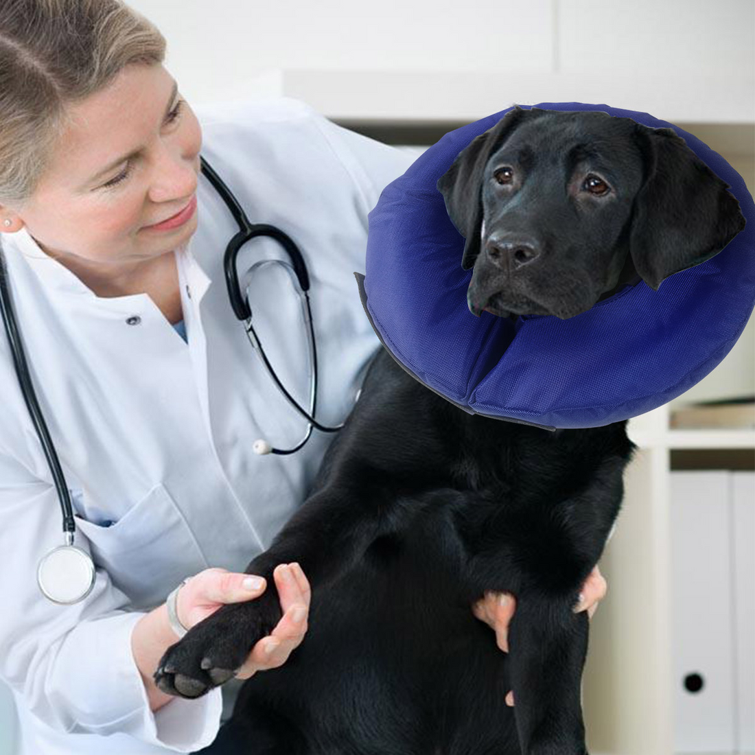 FionaVet // Nylon Inflatable Collar (multiple sizes)