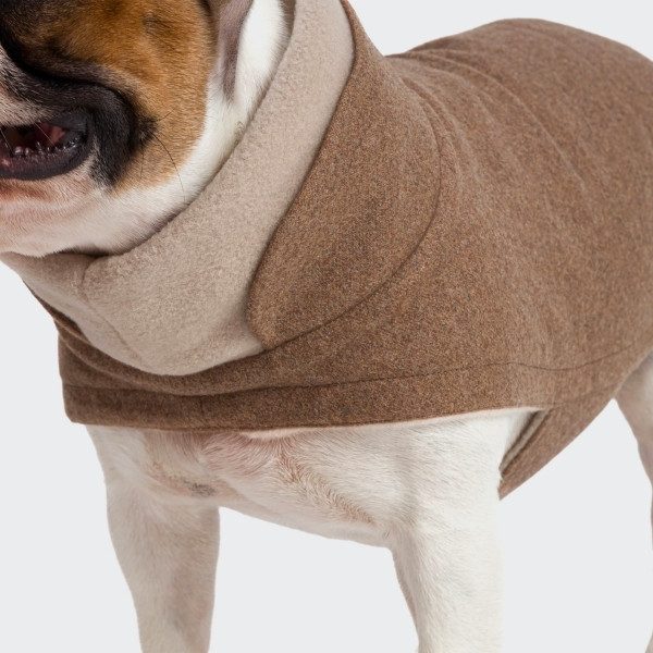 Cloud7 Brooklyn // Warm dog jacket for French Bulldogs (hazel)