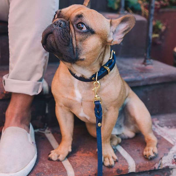 Butter Navy City Leash // Classic city dog leash in soft leather (dark blue)