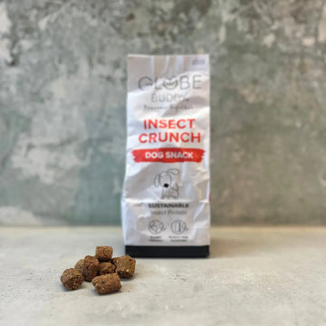 Globe Buddy Insect Crunch // Knasende, bæredygtige godbidder