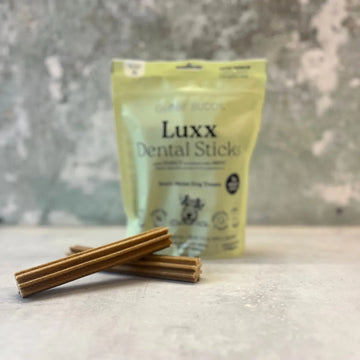 Globe Buddy Luxx // Dental Sticks med insektprotein og mynte