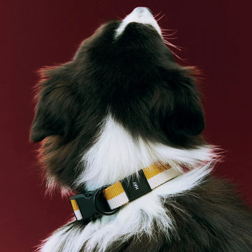 HAY Dogs Flat // Adjustable collar in soft nylon (red/blue) (Kopier) (Kopier) (Kopier)