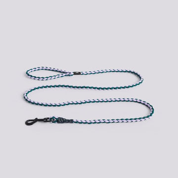 HAY Dogs Braided // Braided dog leash in recycled nylon (lavender/green)