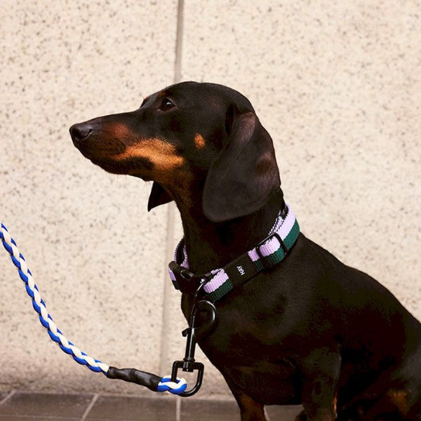 HAY Dogs Braided // Braided dog leash in recycled nylon (blue/white)