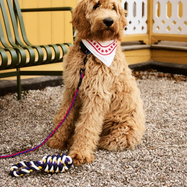 HAY Dogs Scarf // Cotton dog bandana (white/red)