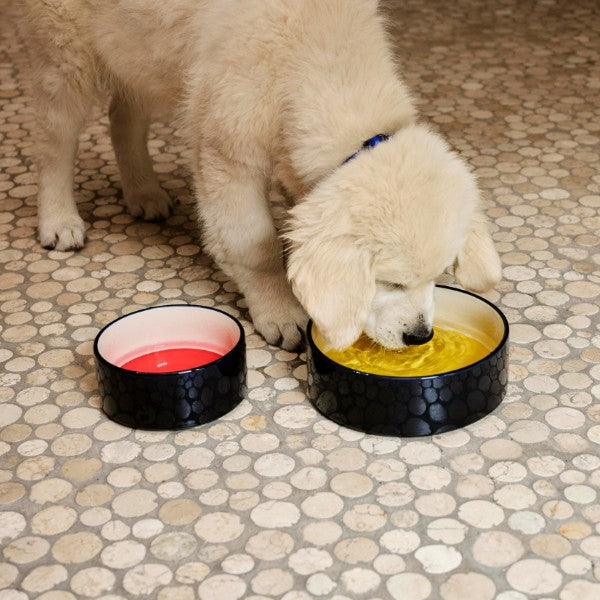HAY Dogs Bowl Large // Ceramic dog bowl (yellow/navy)