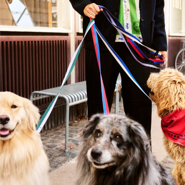 HAY Dogs Flat // Classic dog leash in recycled nylon (red/blue)