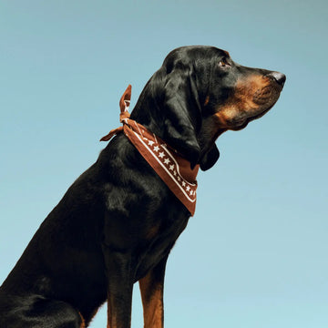 HAY Dogs Scarf // Cotton dog bandana (white/red) (Kopier) (Kopier)