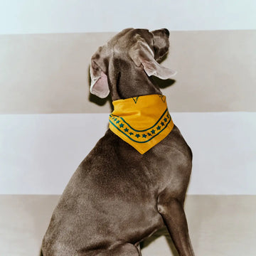 HAY Dogs Scarf // Cotton dog bandana (yellow/green)