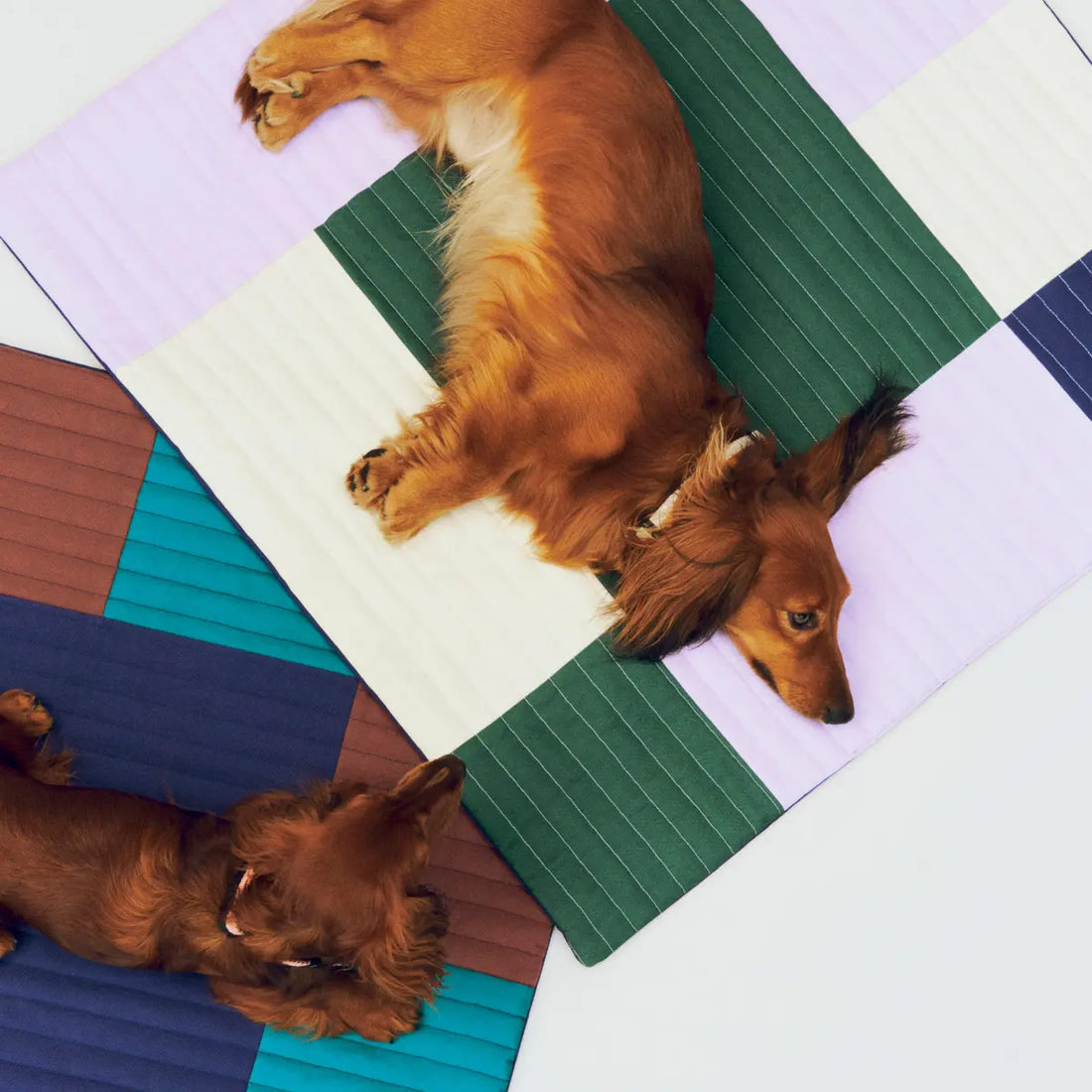 HAY Dogs Travel Blanket // Soft travel blanket for dogs (bordeaux)