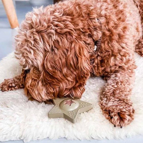 Hevea StarTreat // Chew toy for treats, ideal for puppies (green)