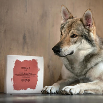HOKUŌ™ Paw-Sicle Kit // Make your own dog ice cream with Bone Broth (moose)