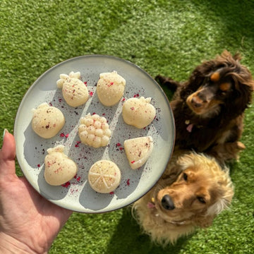 HOKUŌ™ Paw-Sicle Kit // Make your own dog ice cream with Bone Broth (moose)