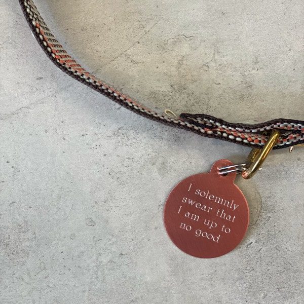 Dog tag // Premium round large (rose gold)