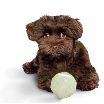 Glow-in-the-dark ball // Floating dog ball